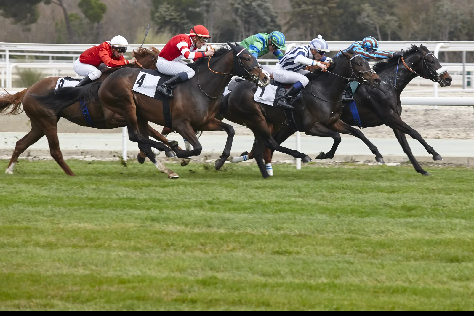 Jockeys racing on turf — Melbourne Cup Day aboard VOYŌ